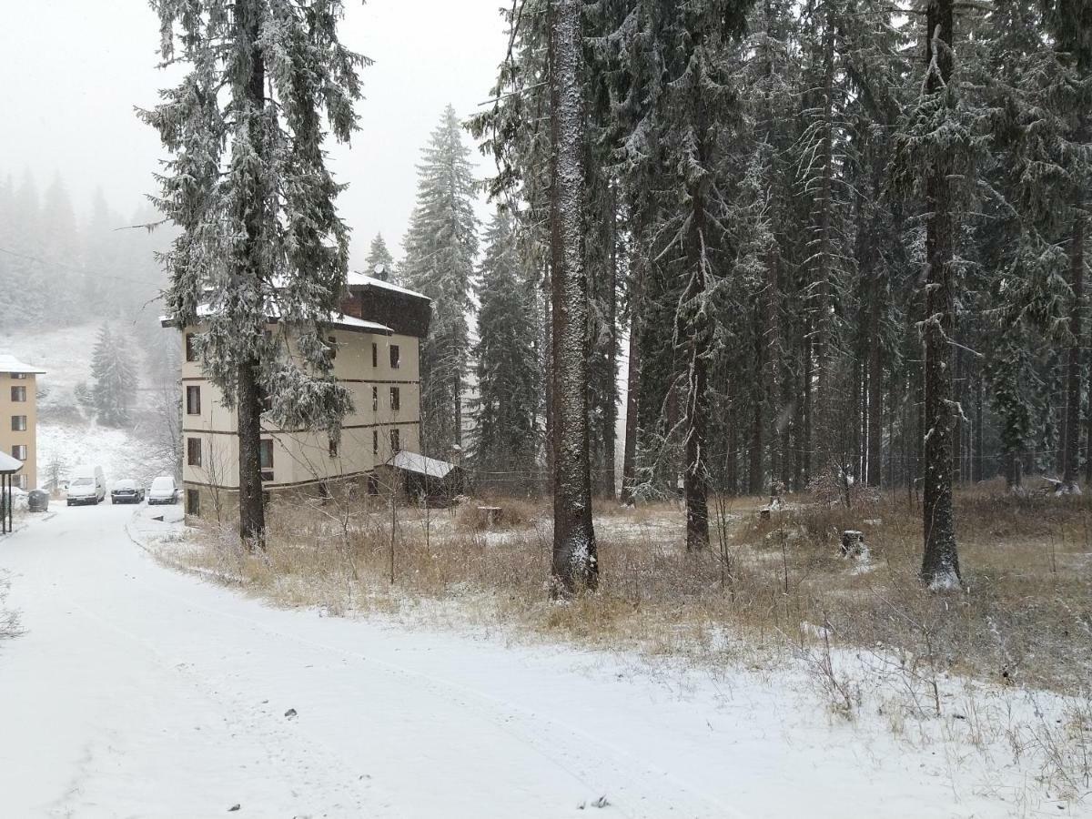 Evrika Forest Pamporovo Exterior foto